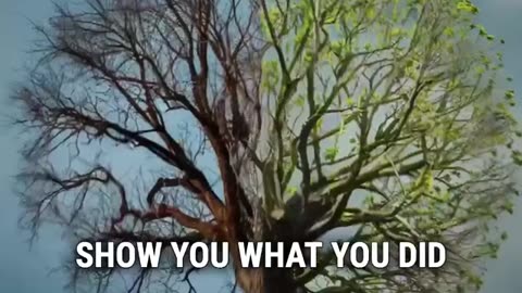 What Intentions Do That Goals Never Can | Life Coach in New York City