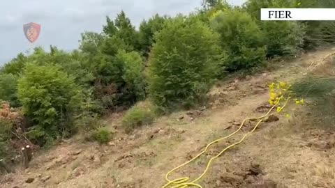 Zbulohet parcela me 1000 fidanë kanabisi në Libofshë, arrestohet një 63-vjeçar