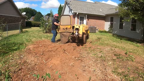 How to get rid of small stumps