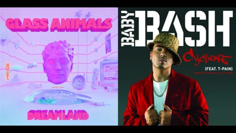 Glass Animals - Heat Waves But It's Mixed With Cyclone By Baby Bash, T-Pain
