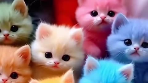 Kittens cutest Cute animal videos