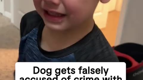 SHAMEFACED TUESDAY 8/19/25