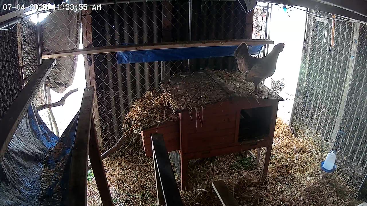 Happy The Hut Is Clean!