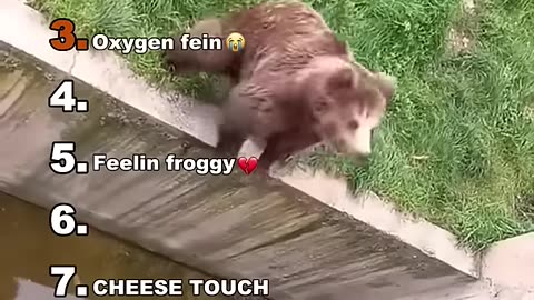 Funny video