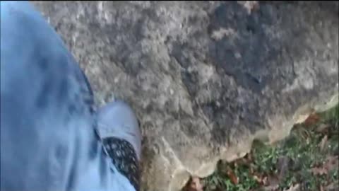 Walking in Gray Flats