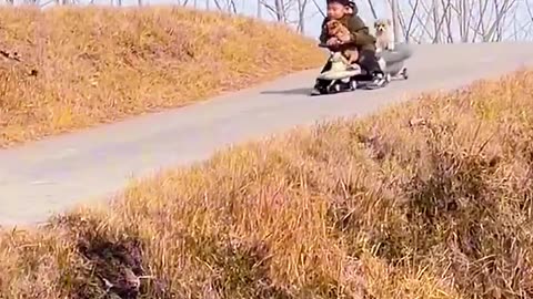 This dog and kid are closest friend