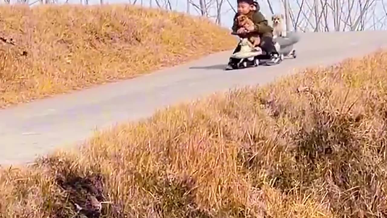This dog and kid are closest friend