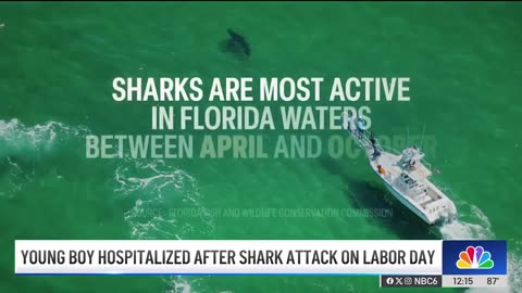 8-year-old boy ‘in good spirits' after shark attack off Key Largo, Fla., family says