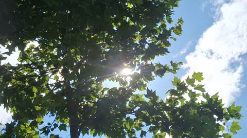 The white sun and it's blue hue becomes a blue glare when zoomed in