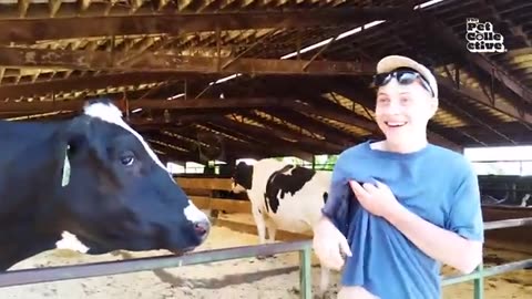 Funniest Farm Animals