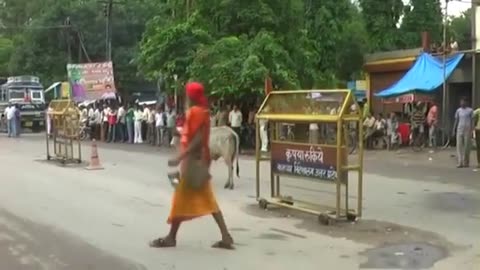 Bull Fight With Sadhu