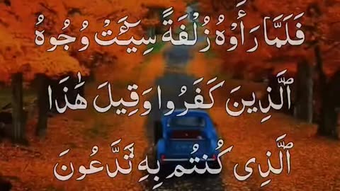 All videos