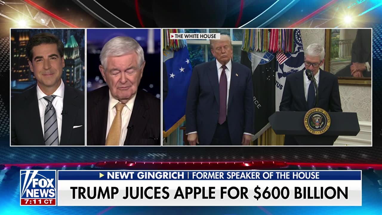 Dems are 'so out of touch' with the American people, says Newt Gingrich