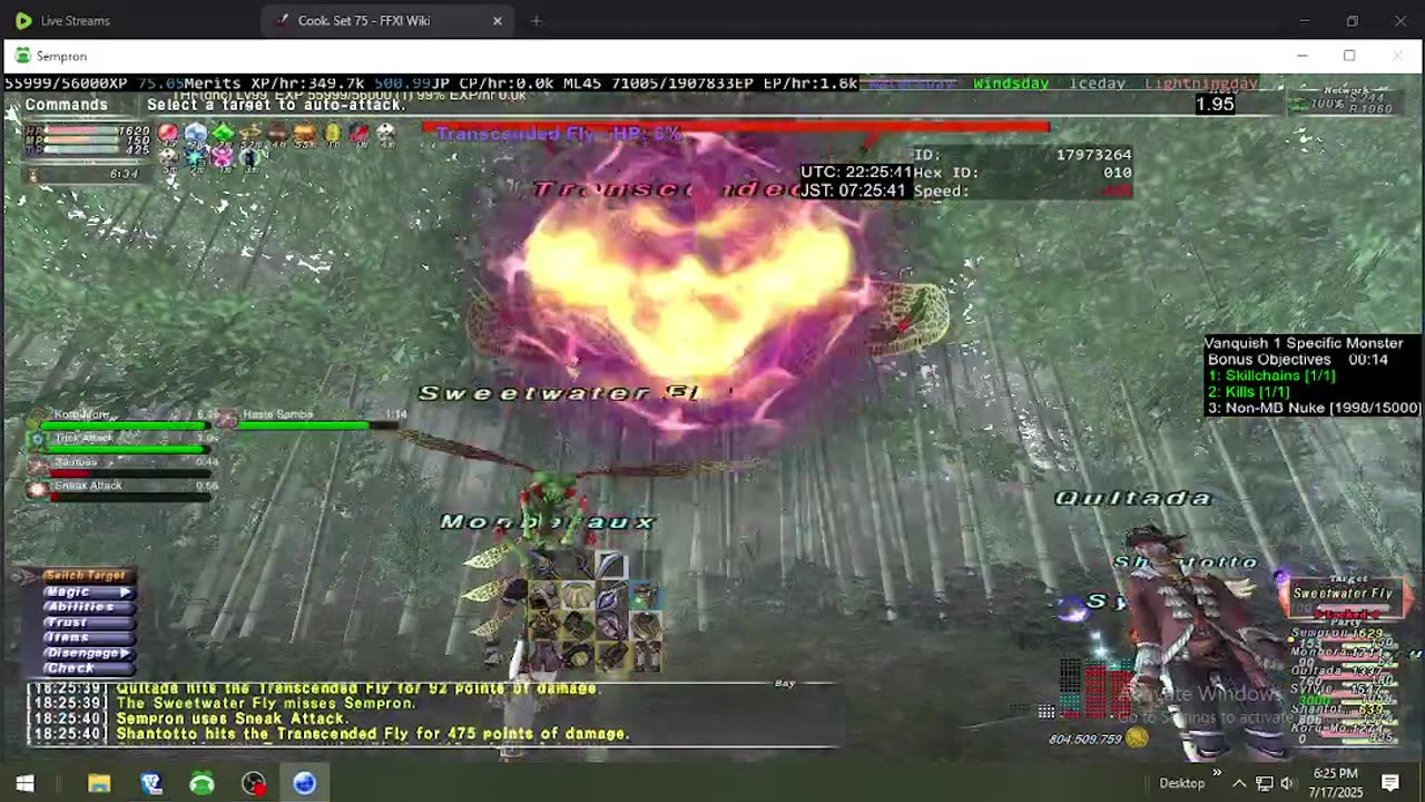 Playing Final Fantasy XI Online