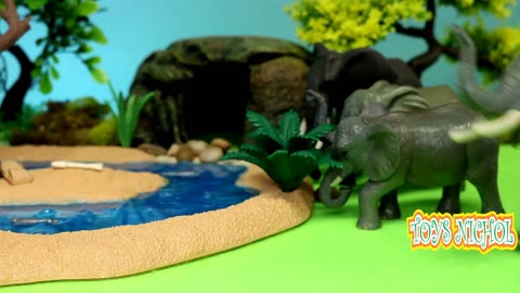 Elephant Drink All the Water in the Pool at Playground