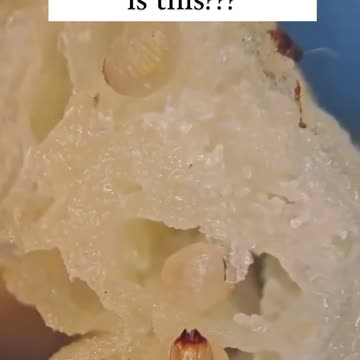 McDonald’s French Fries Under The Microscope! 🤢🤮