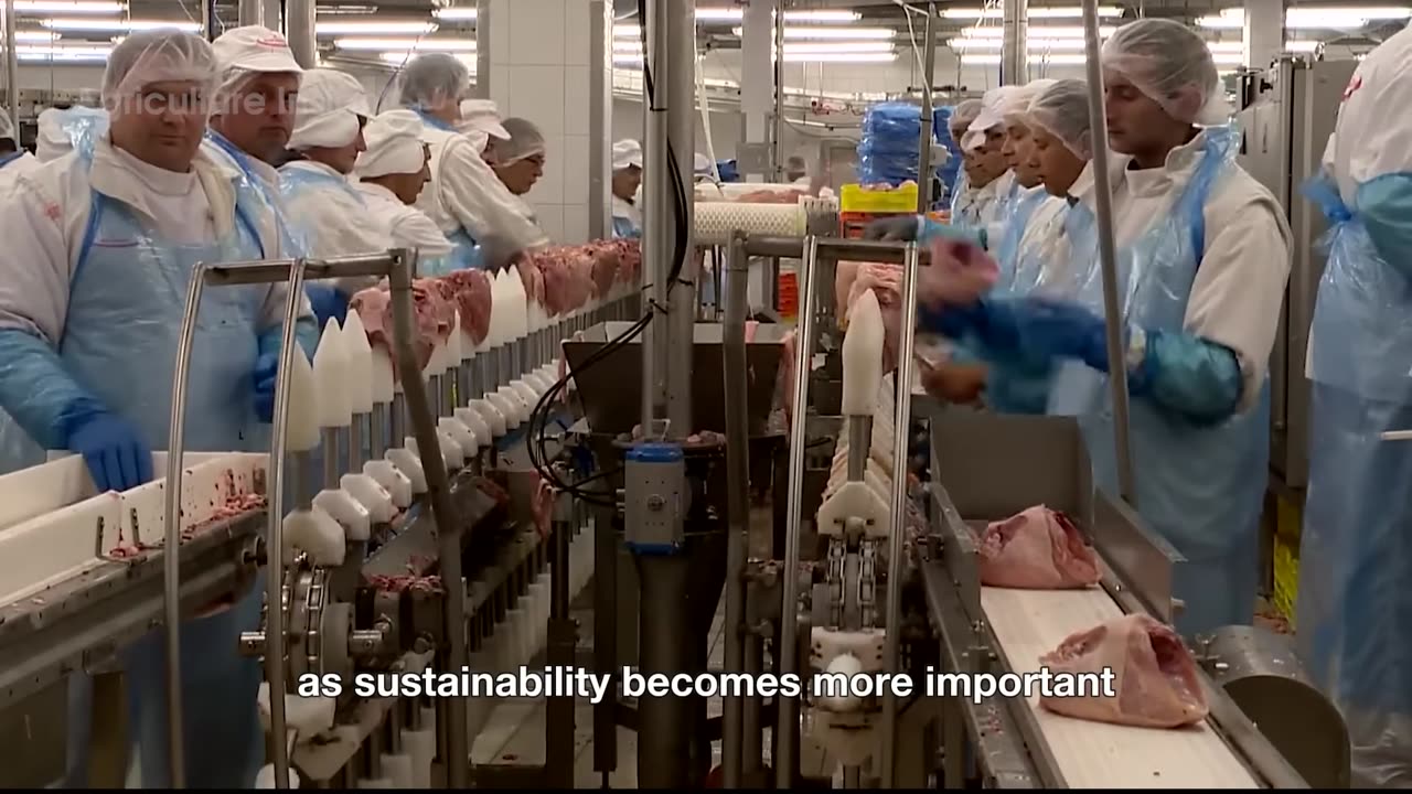 14 BILLION Pounds of Cheese 🧀 Are Produced in America | Incredible Agriculture & Dairy Tech!