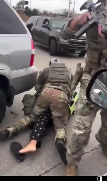 Lady tried to shove a door on a DHS agent and FAFO the hard way.