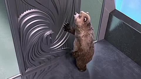 Mouse content that works