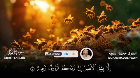 سورة النحل كاملة (مكتوبة ) للقارئ الشيخ محمد الفقيه _ تلاوة خاشعة ومؤثرة😌💚