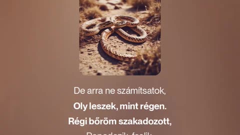 Megújulás (2) (megzenésített vers)