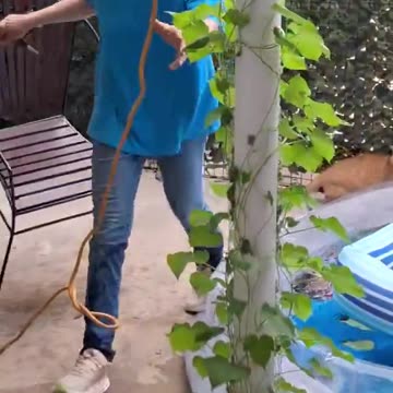 That was the most unintentionally funny thing I’ve seen all week.