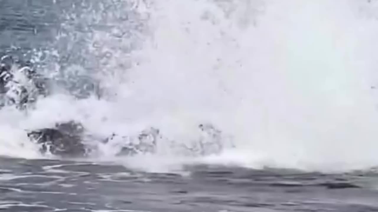 So funny 🤣🤣🤣