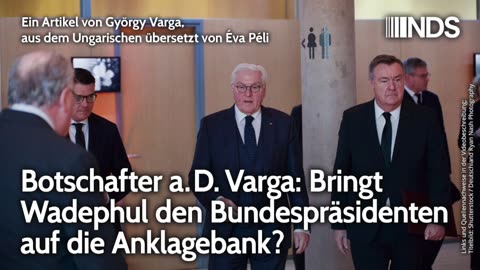 Botschafter a. D. Varga: Bringt Wadephul den Bundespräsidenten auf die Anklagebank? | NDS