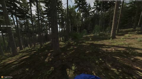 Road to 100 Followers! Reforger Shenanigans