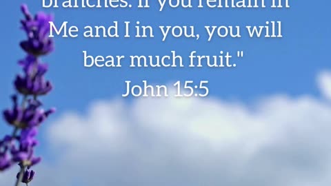 Staying connected to Jesus is the key to a fruitful life.