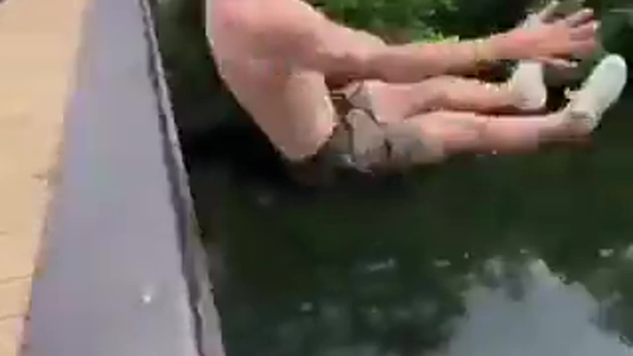 Oopsy!