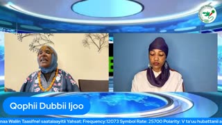 Qophii Dubbii Ijoo ONM-ABO Adoolessa 1-2025 itti dhiyaadhaa!