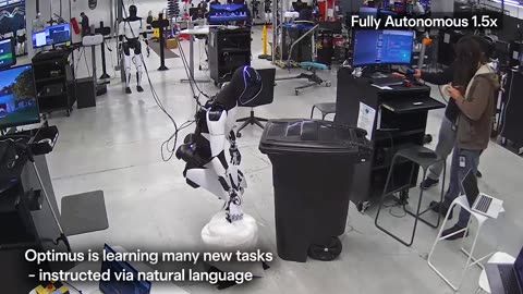 TESLA OPTIMUS