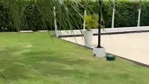 CAPTURA EN ZONA NORTE DE CTG