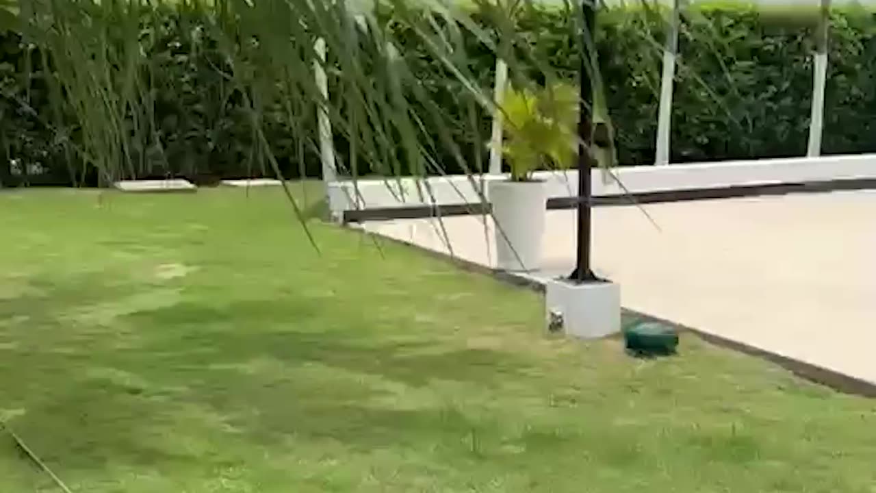 CAPTURA EN ZONA NORTE DE CTG