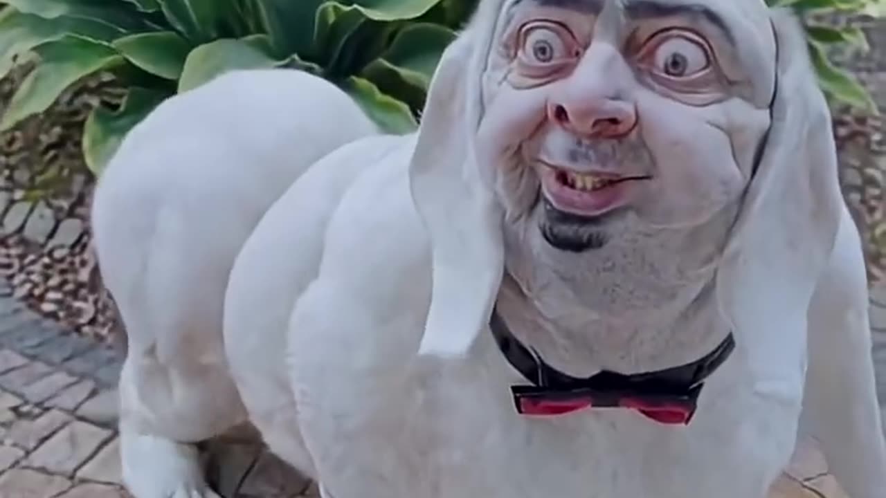 If Your Dog Ever Looks Like This… RUN! (Not What You Think 😱🐶