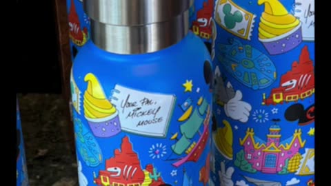 Disney Parks Icon Water Bottle #shorts