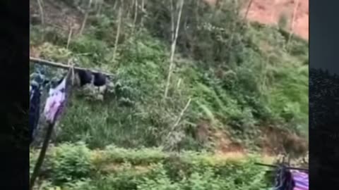 😱👻 The Scariest UFO Sighting Ever! | TheHauntingHour