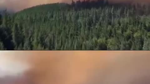 Argentina, Patagonia ARDE MILEI Callado