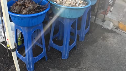 Fish Market in Mazatlan Mexico