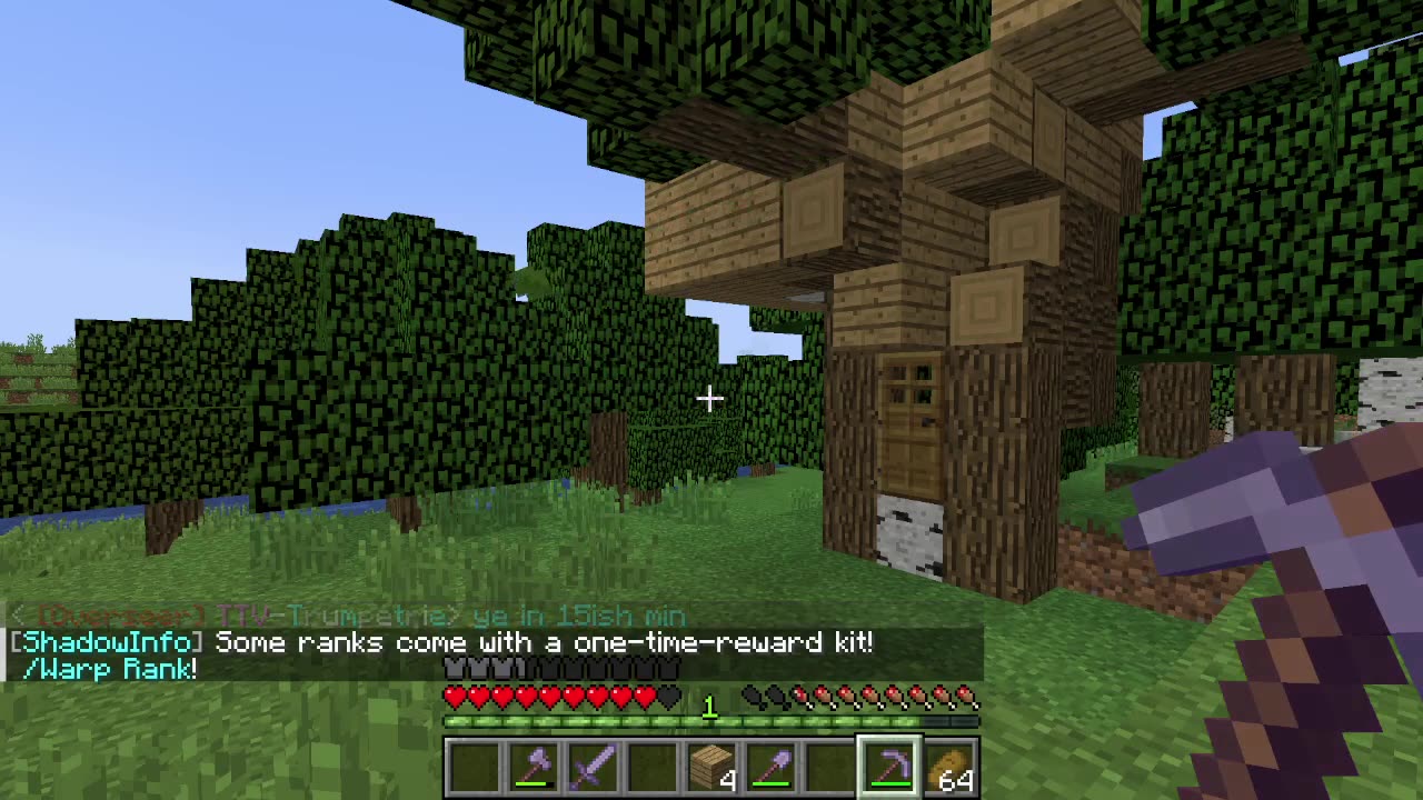 Day 2 - In Minecraft server ShadowBlade