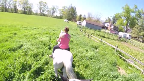 we rode the hay field