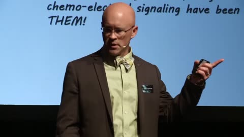 QUANTUM DISENTANGLEMENT | Dr. David E. Martin