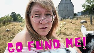Please HELP The HORSES!