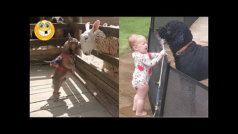 Funniest Animals & Cute Pets 😄 New Funny Cats & Dogs Videos 😹🐶 #cat #dog #funnyanimals