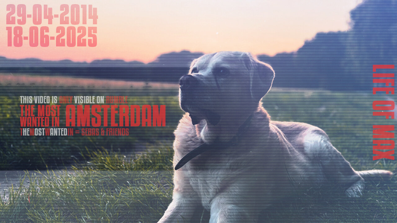 TheMostWantedIn | Amsterdam