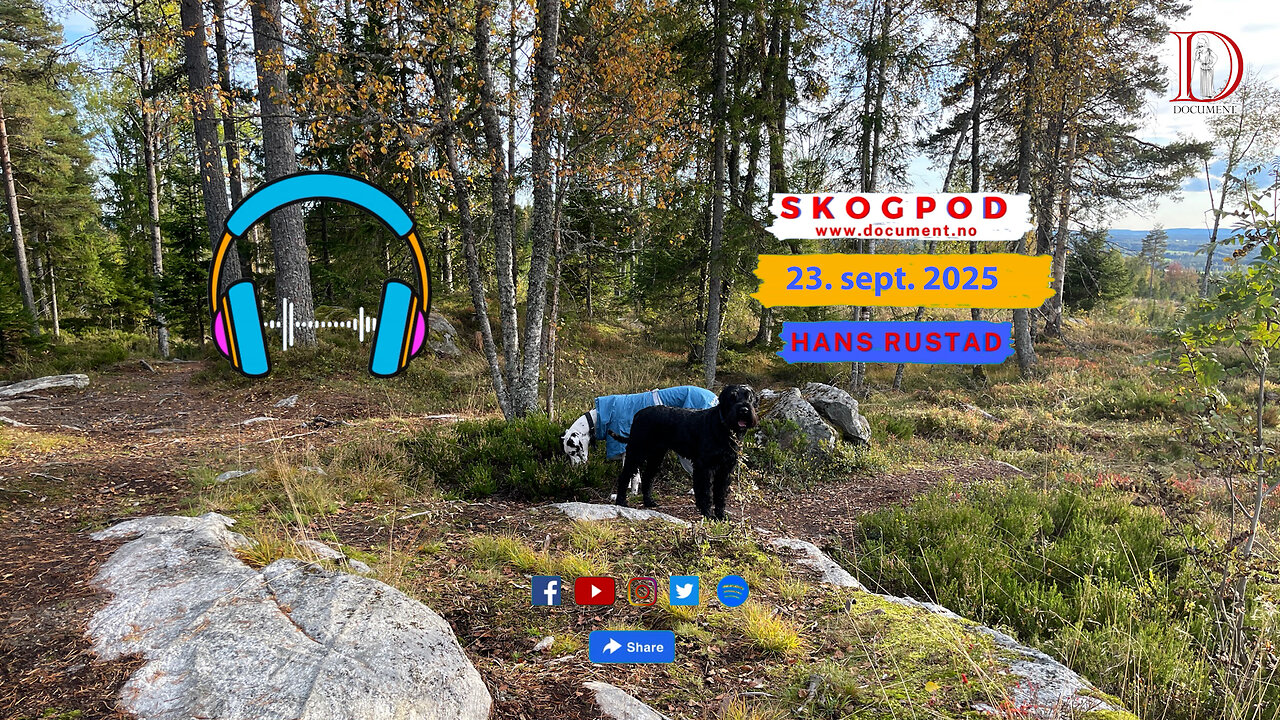 Skogpod 23. september 2025