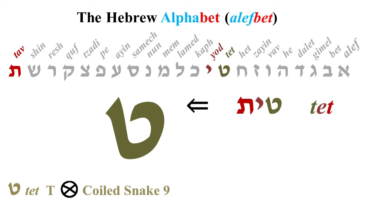 Tet - 9 Hebrew Alphabet by John Kostic