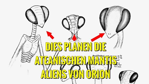 Sie kommen aus dem Sternensystem Orion und sind 12m große Mantis Gottesanbeterinnen