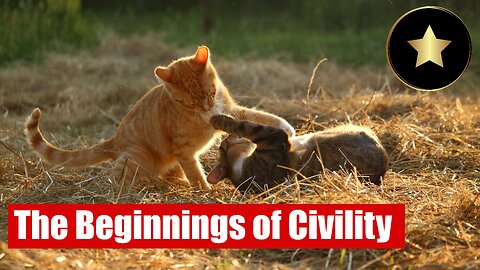 How Playing, Teaching and Cognition Led to Civilization (Civilization Theory)